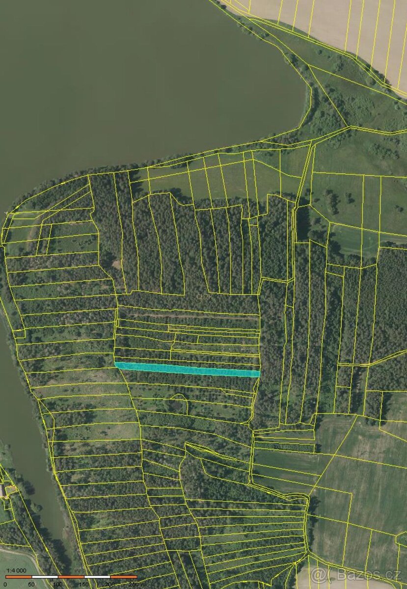Prodám lesní pozemky v k.ú. Milčice - 3