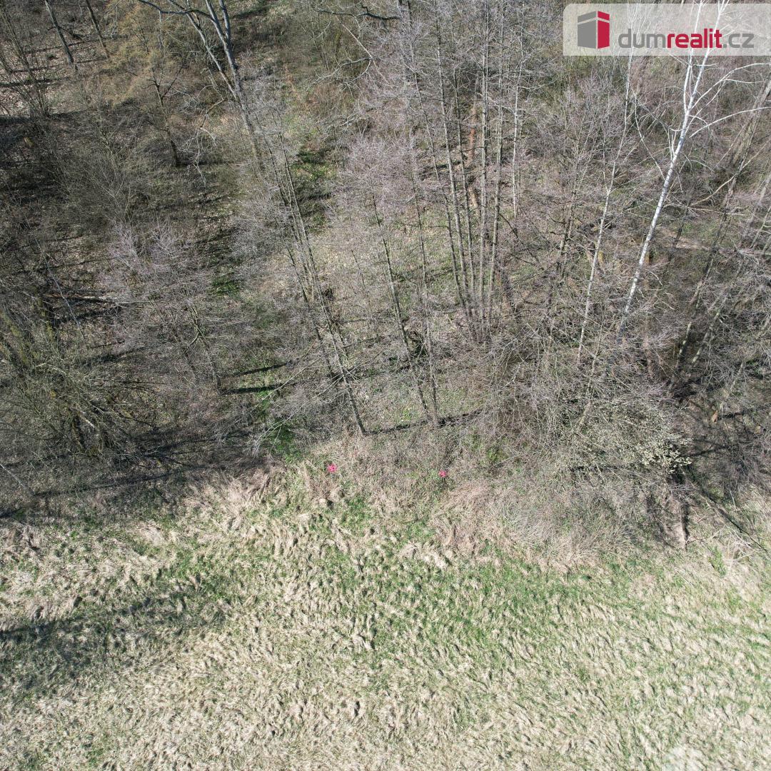 Prodej pozemku o rozloze 4280 m2 určeného k zastavění, Fojto - 3