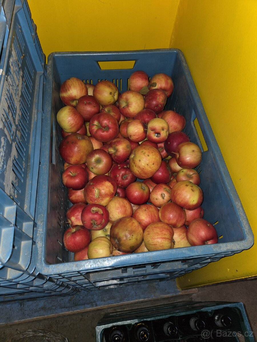 Jablka - 3