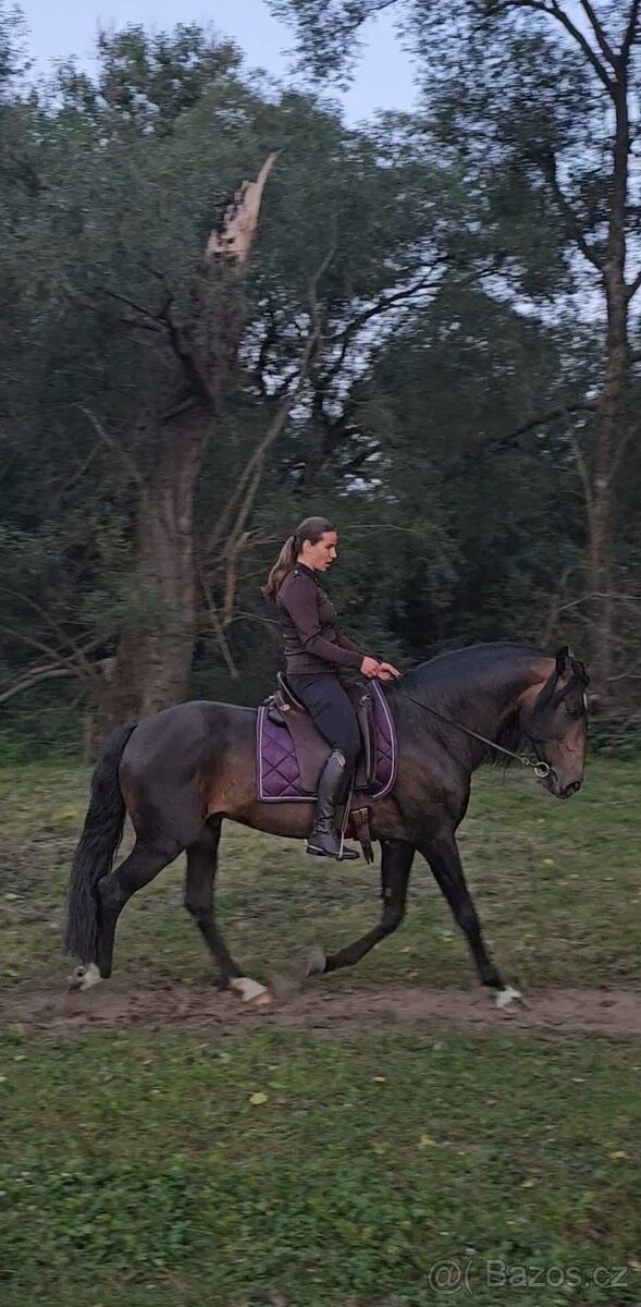 PŘIPOUŠTĚNÍ PSL - 3