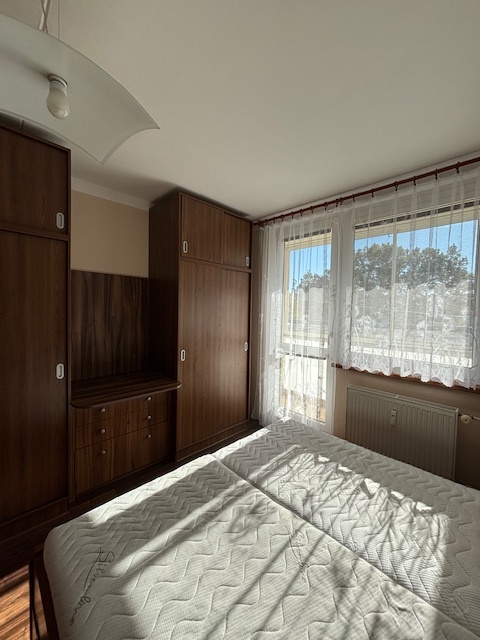 Pronájem bytu 3+1 - 3