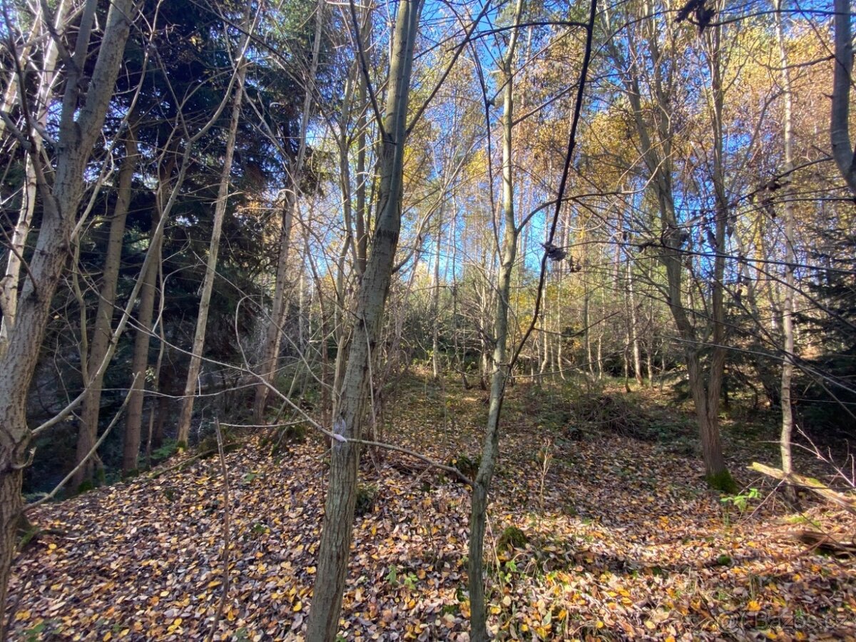 Pozemek 476m2 Klatovy - Dehtín - 3