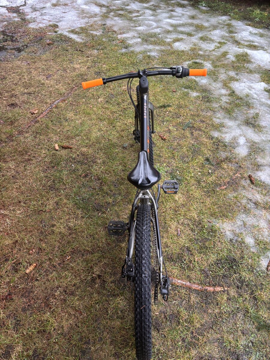 Scott Roxter 24” - 3