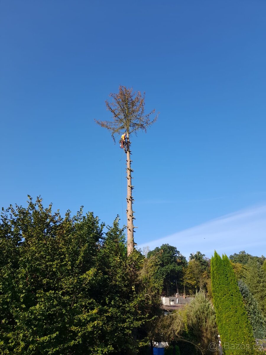 Rizikové kácení-výškové práce - 3
