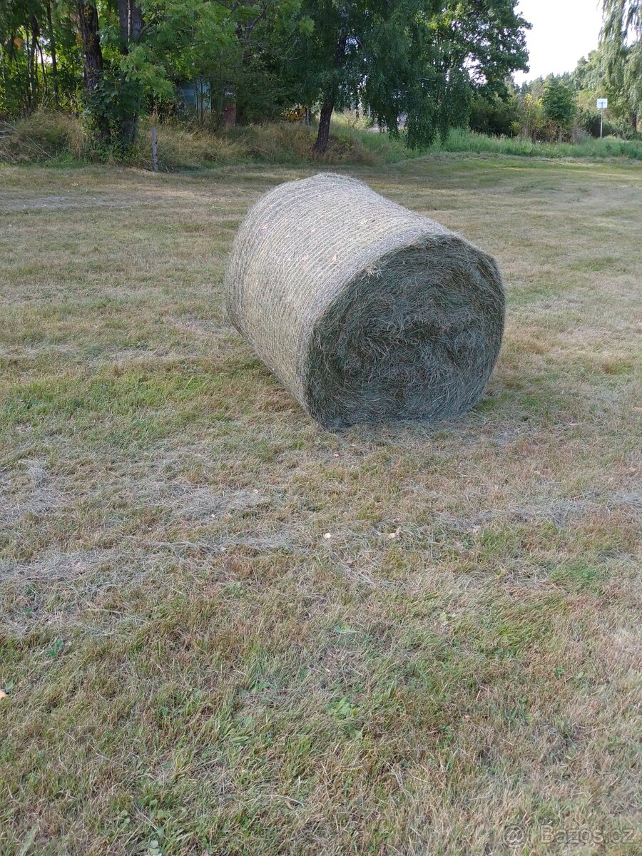 Horské seno - 3