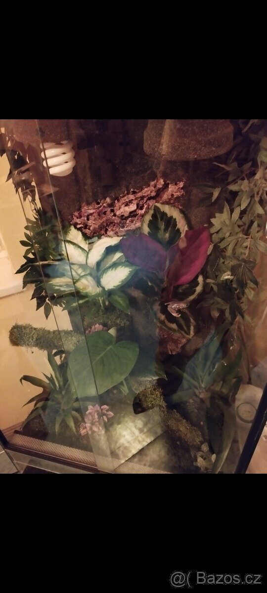 Terárium 60x100x50 ( švh ) - 3
