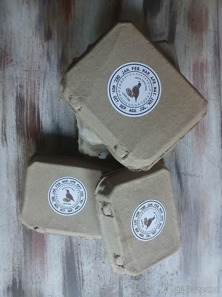 Krabičky na křepelčí vejce - 3