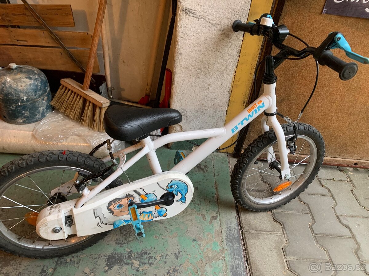 B twin Inuit 100 - 3