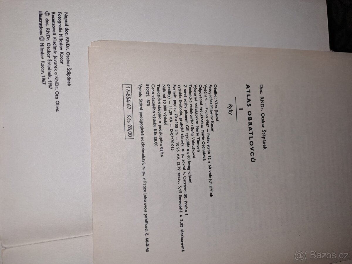 Atlas obratlovců - ryby - 3