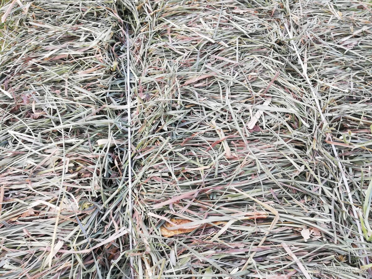 Luční seno - pěkná otava - 3