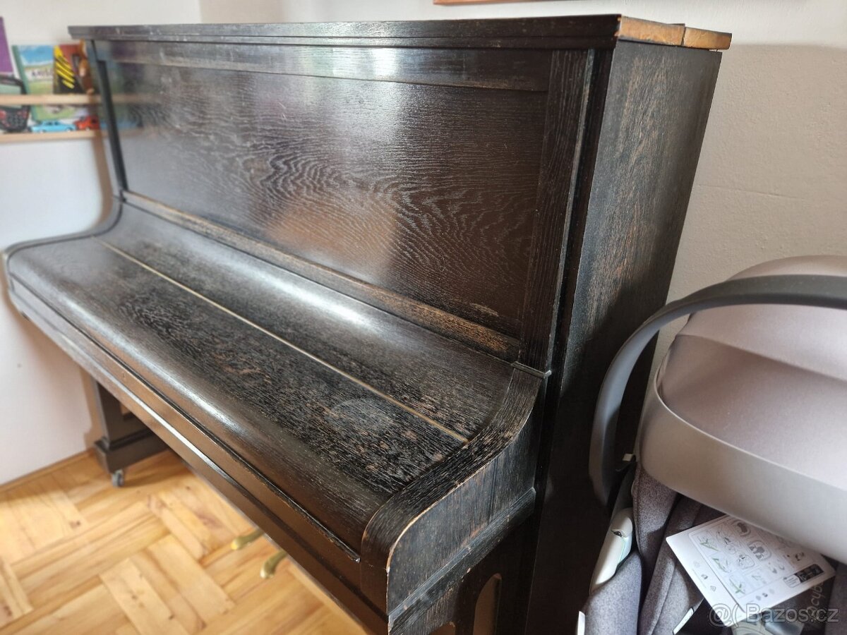 Hoffman & Czerny - 3