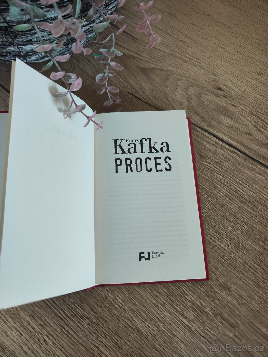 Proces - Franz Kafka - 3