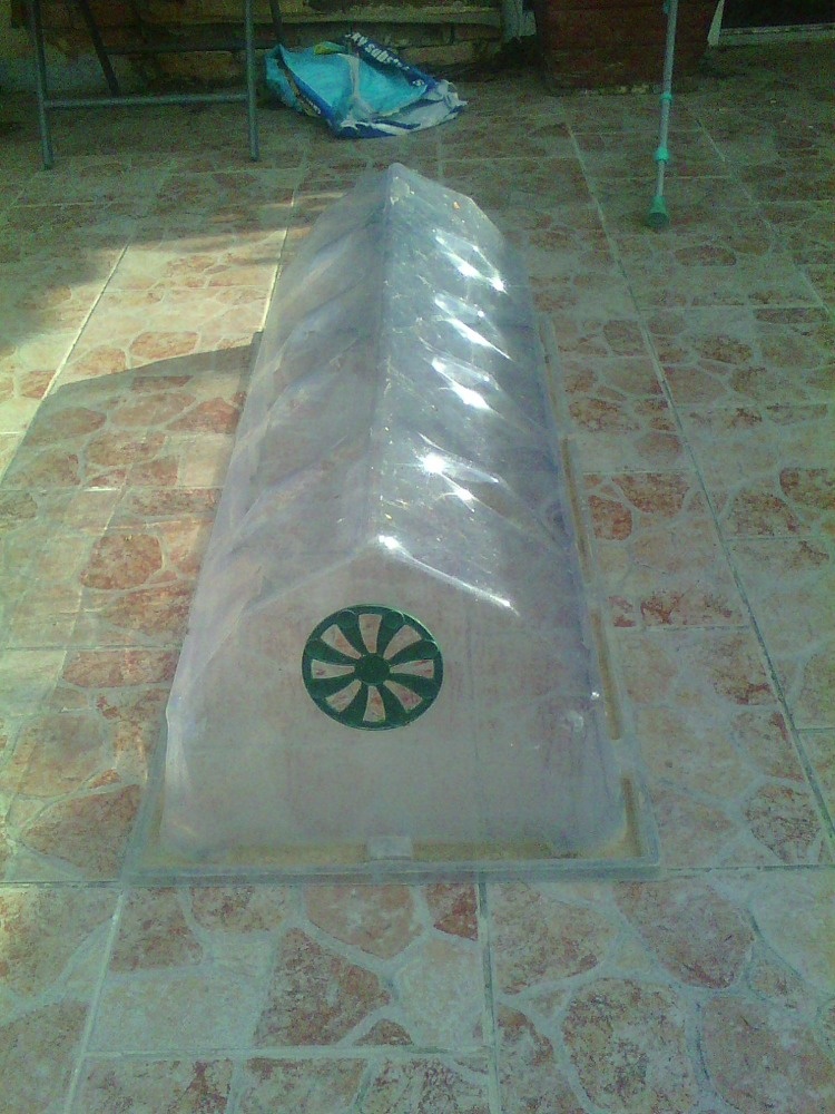 Prodám 5ks malý plastový fólijovník - 3