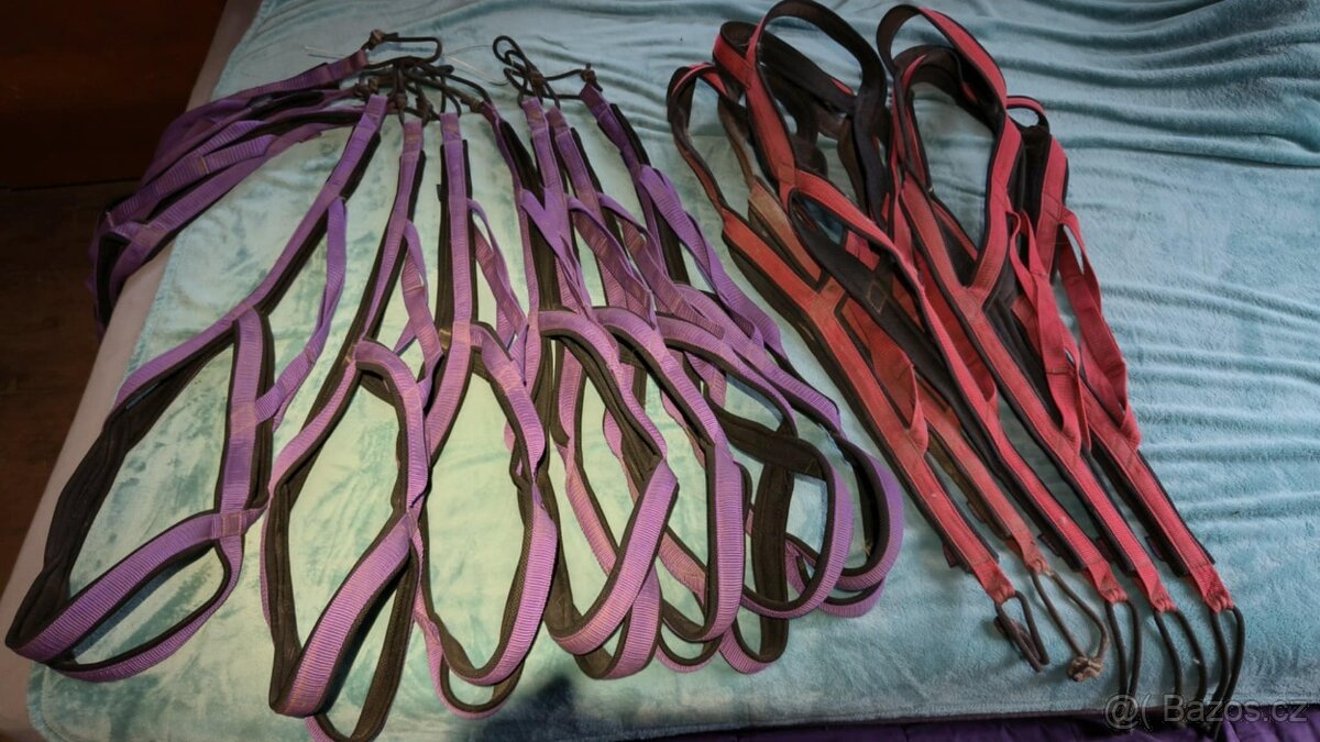 Sportovní psí postroje ZeroDC vel. XL - tažný postroj - 3