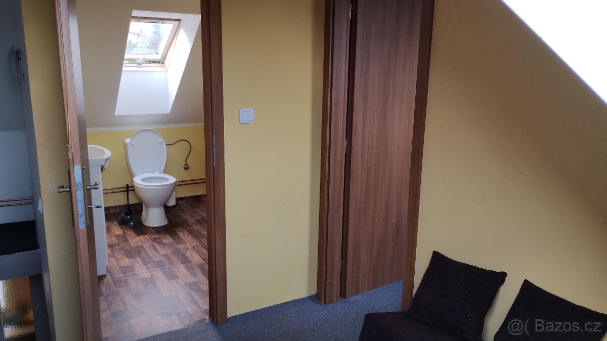 Pronájem - 3
