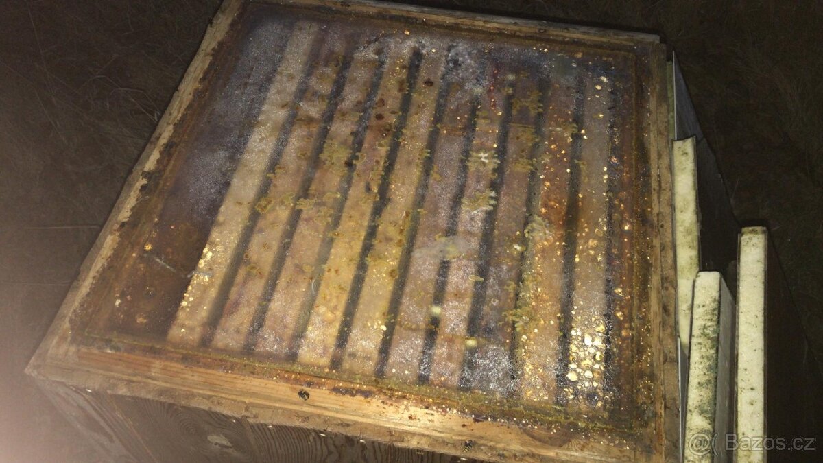 včelstva 39x24 vyzimovaná - 3