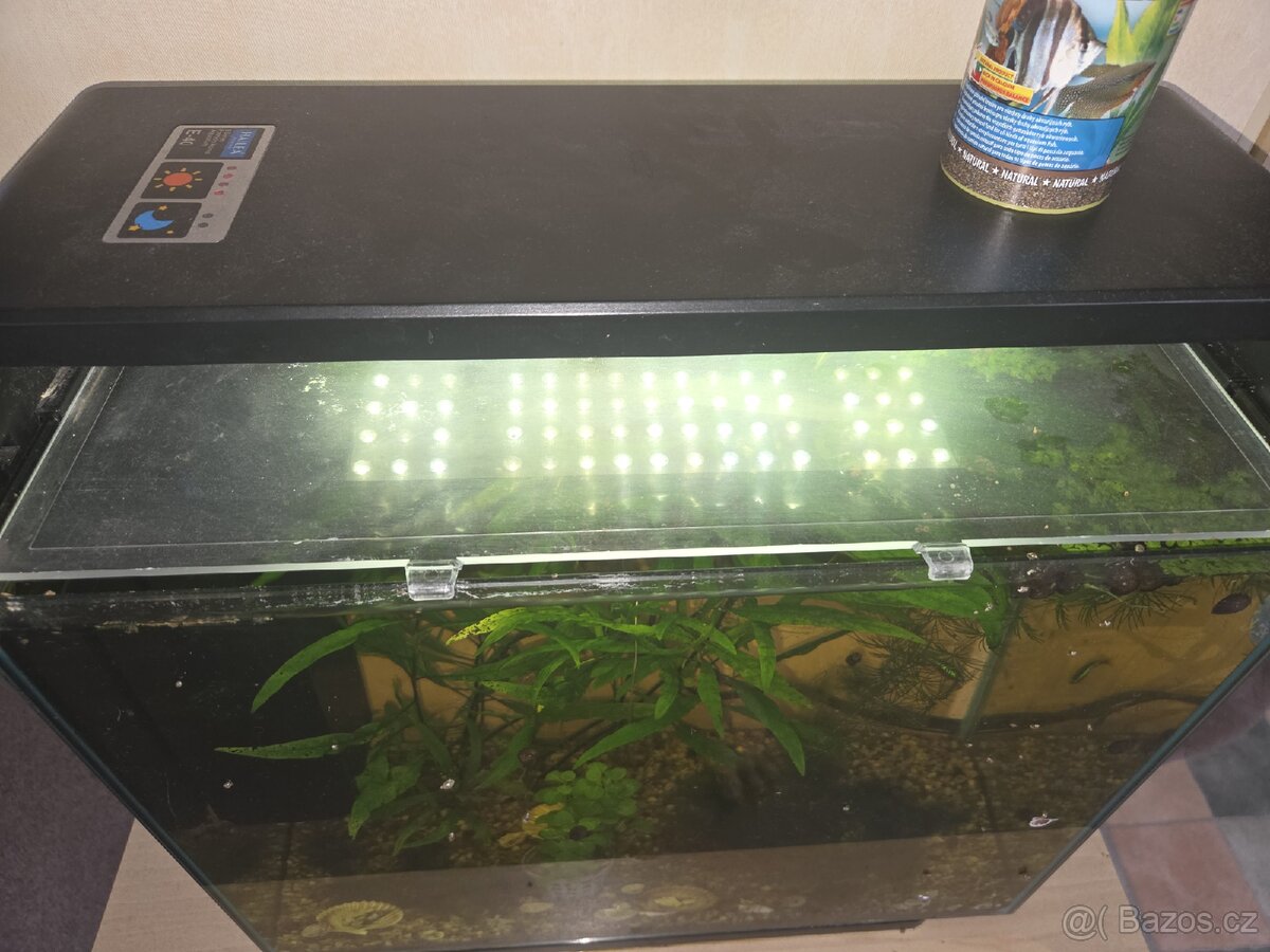 DARUJI AKVÁRIUM - 3