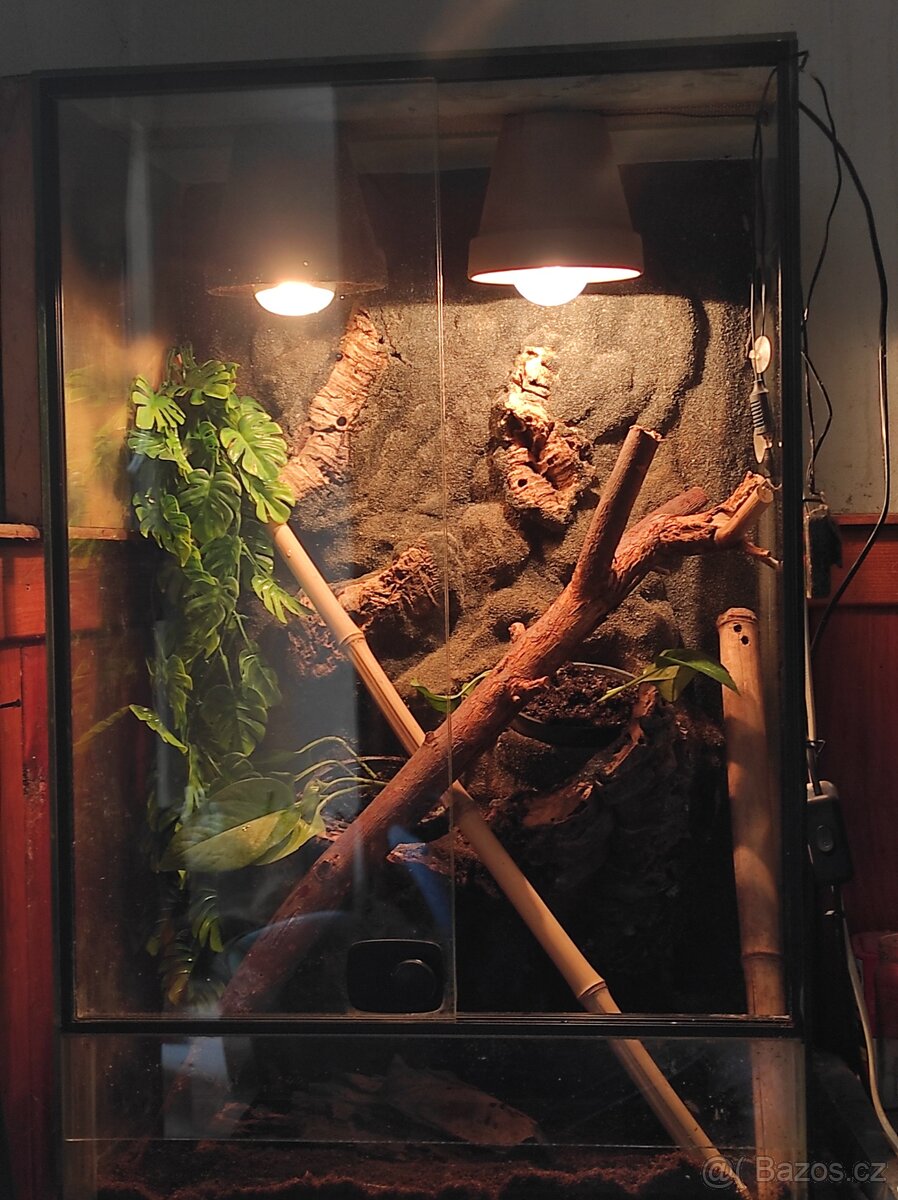 Terárium - 3