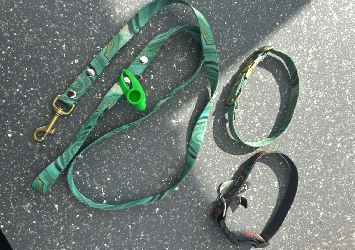 Obojek vodítko Obodog - 3