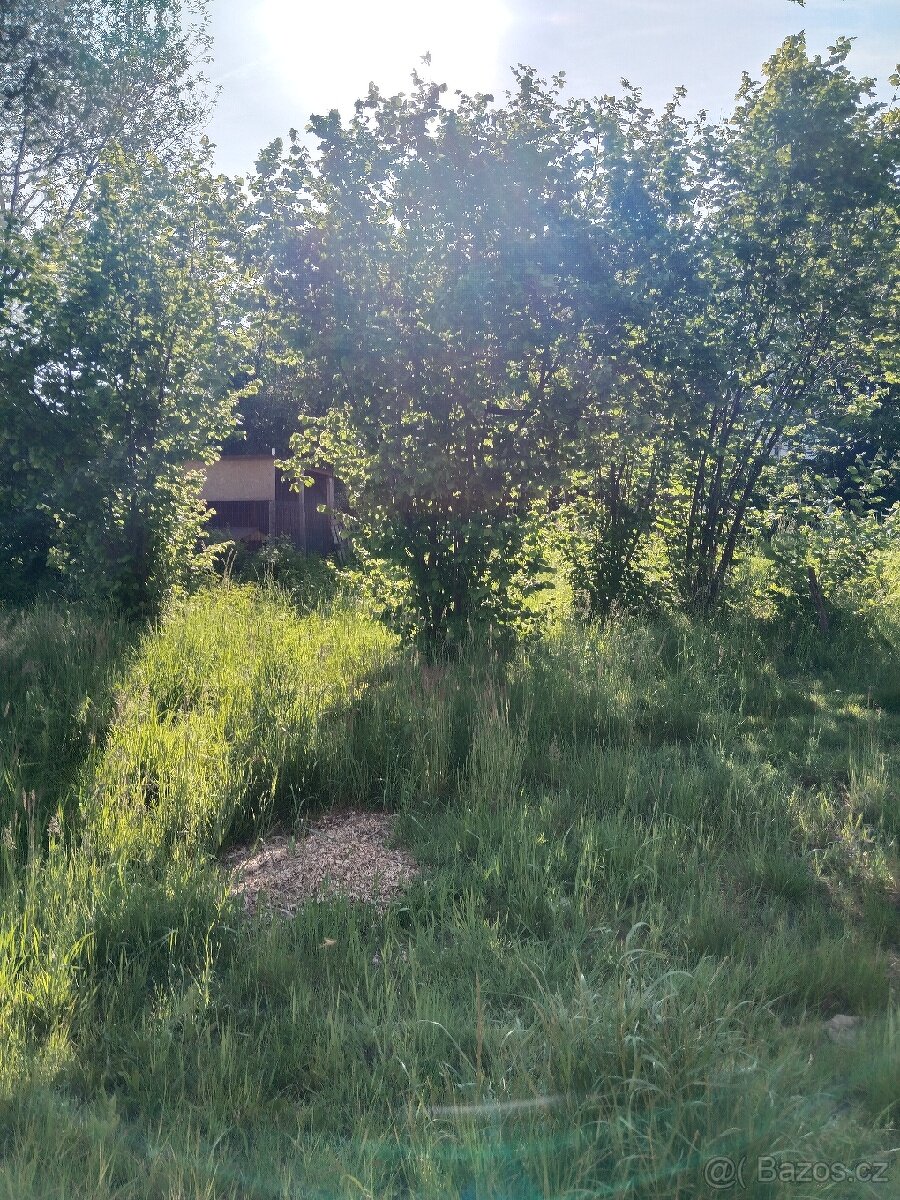 pronajem zahrady P R O N A J A T O volne 2/2026 - 3