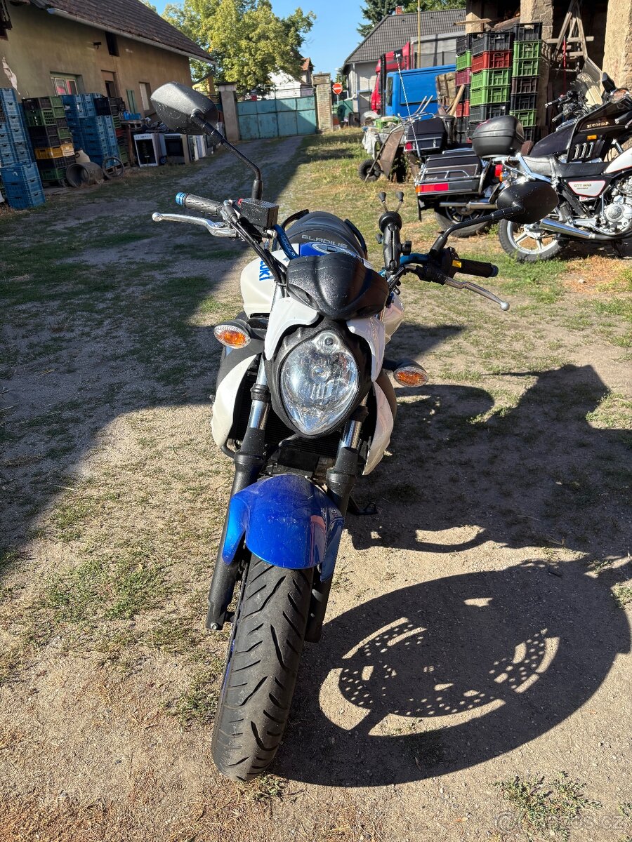 Suzuki SFV 650 Gladius - 3