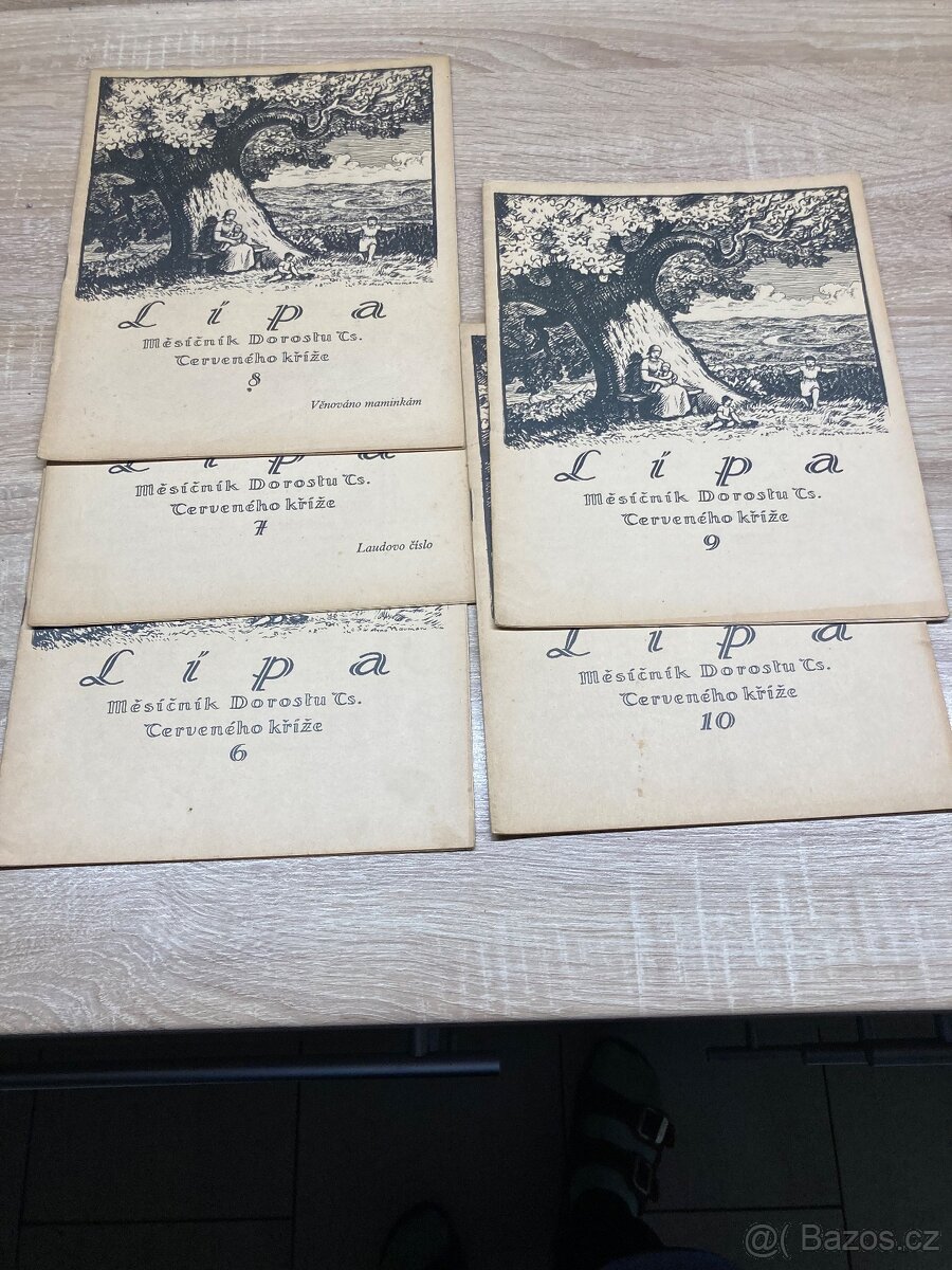 Česká lipa - 3