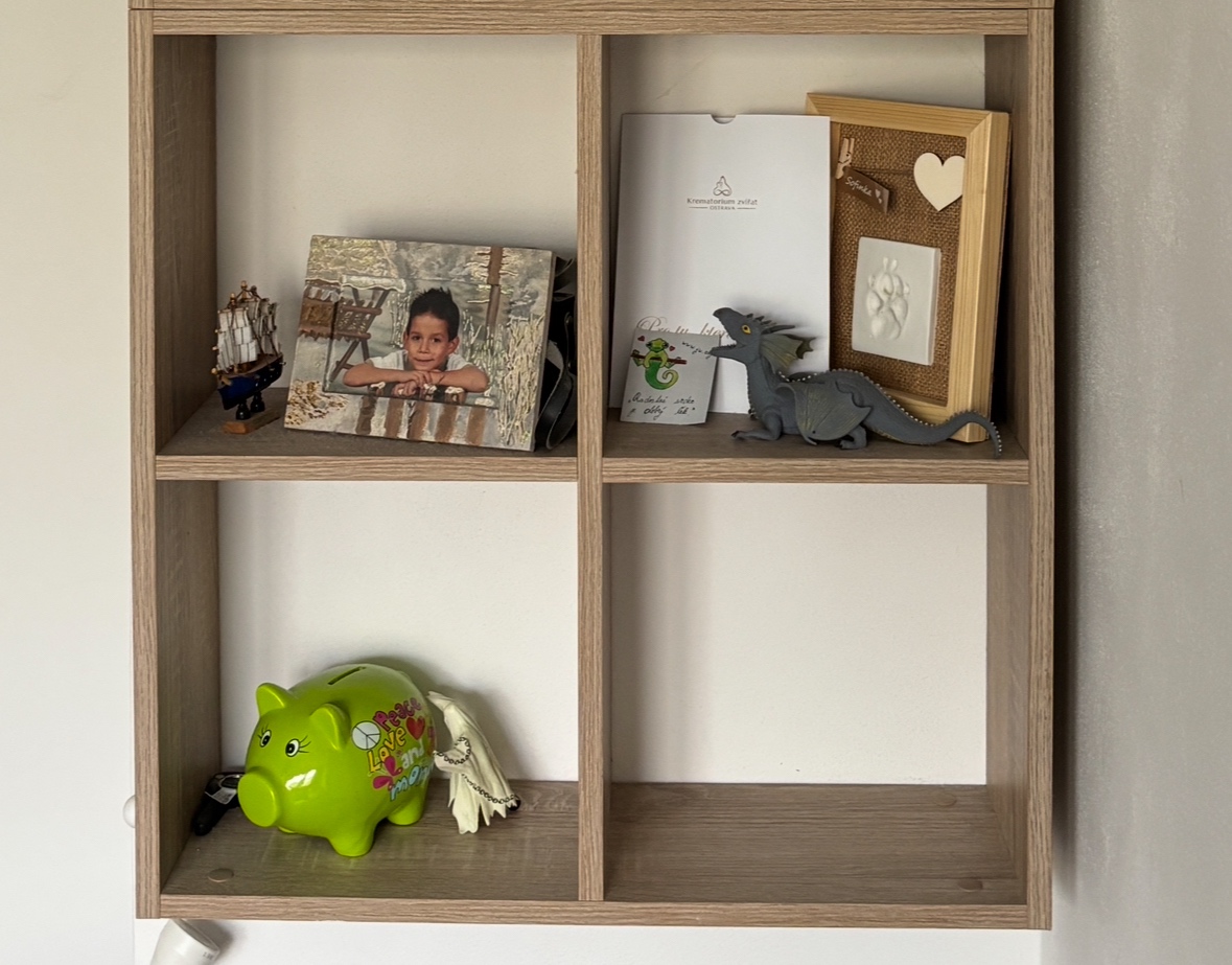 Policivý nástěnný regál - 3