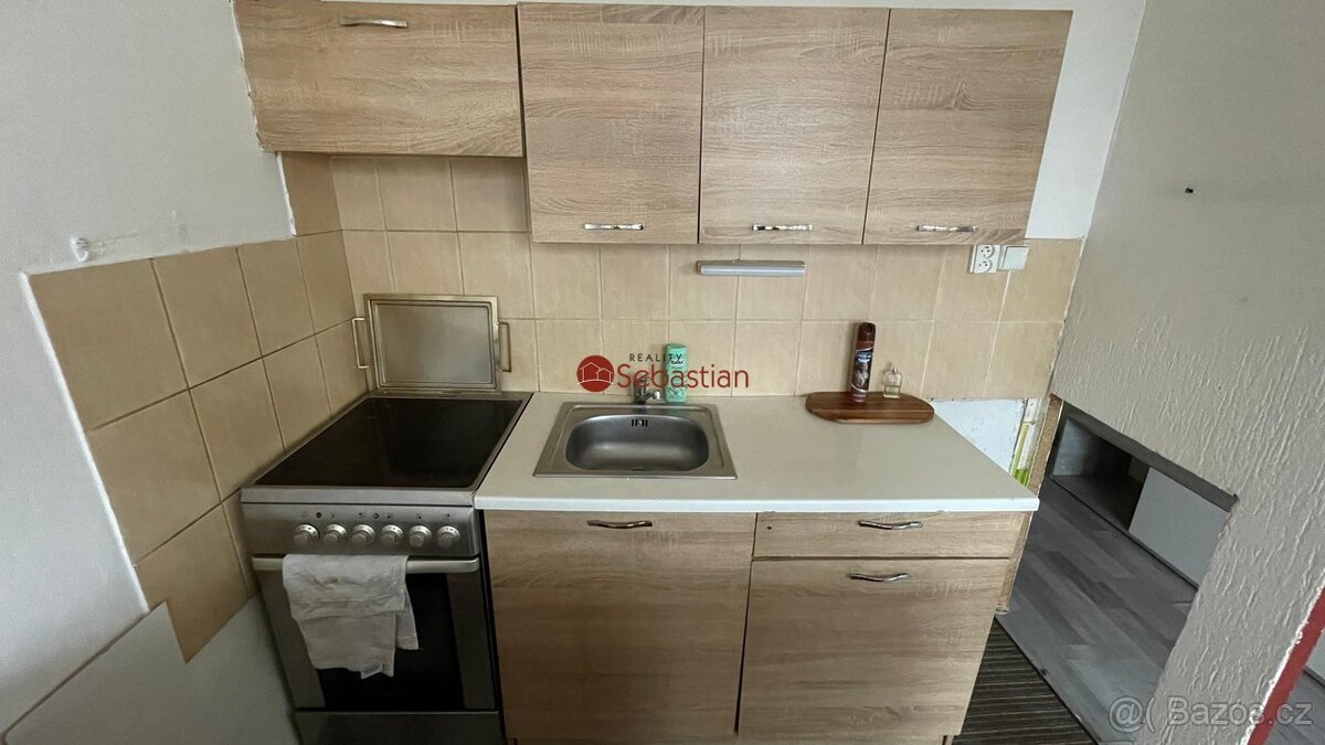 Pronájem bytu 1+1, Maršov u Krupky - 3