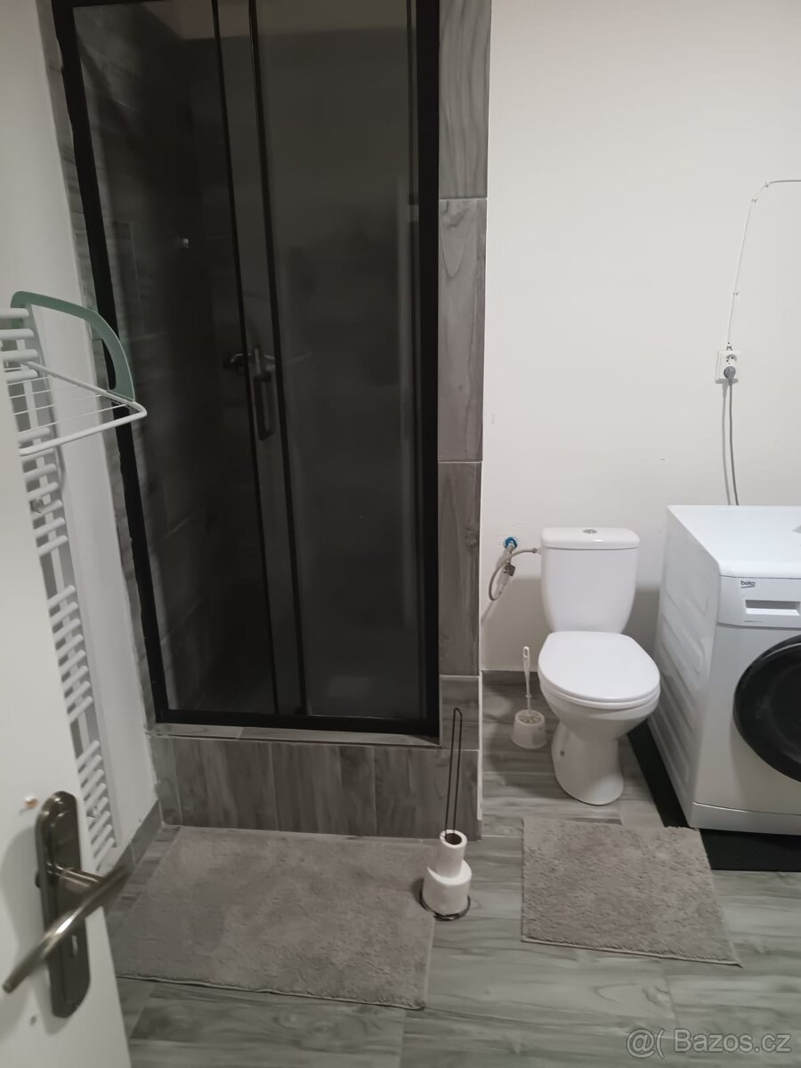 Pronajmu 2+1 v Aši - 3