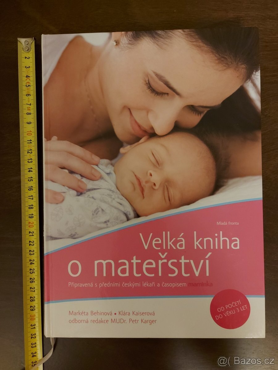 Kuchařka,kniha o mateřství koně origami Vánoce - 3