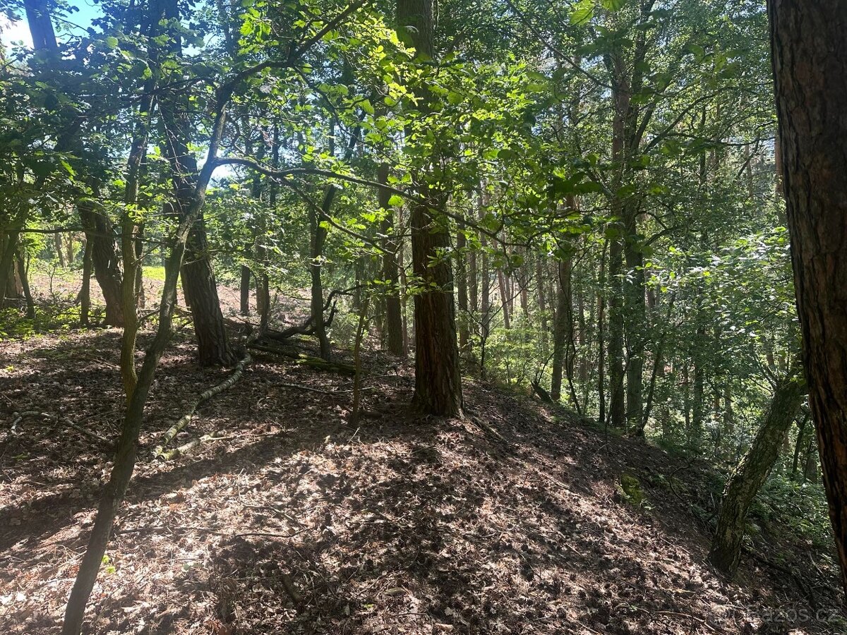 Prodej lesních pozemků Nebužely - 3