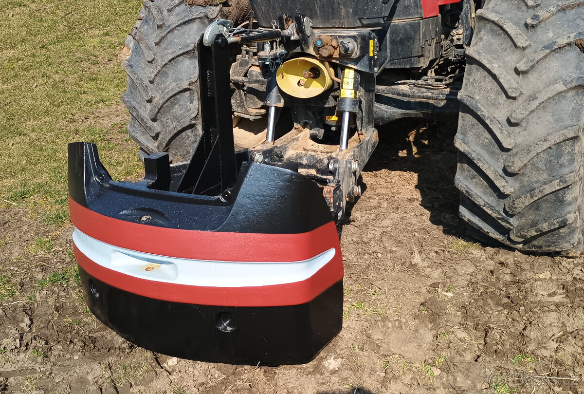 Šrotovník kamenný - 3