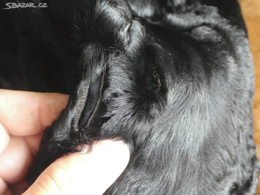 Kožich persián Matějovský Praha - 3