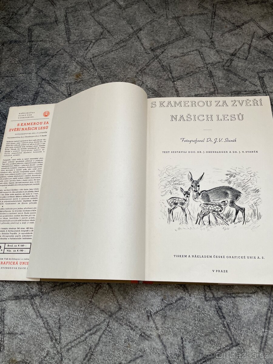 S kamerou za zvěří našich lesů - 3
