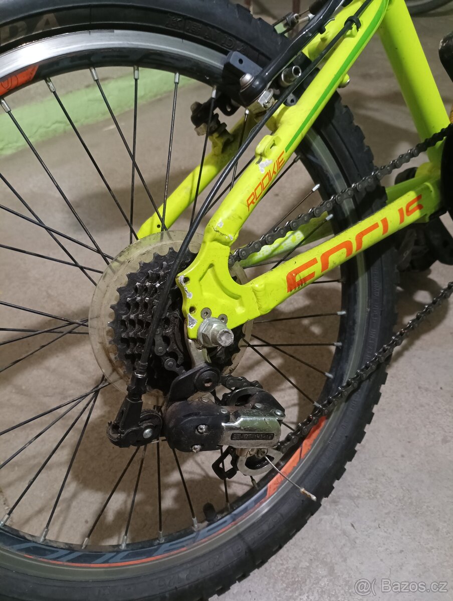 Prodám dětské kolo Focus raven 20 - 3