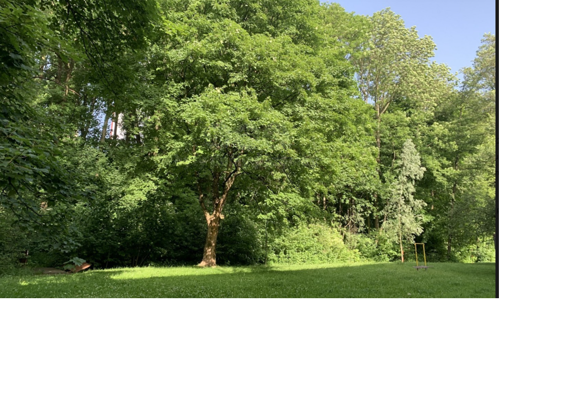 Parcela v Třinci - 3