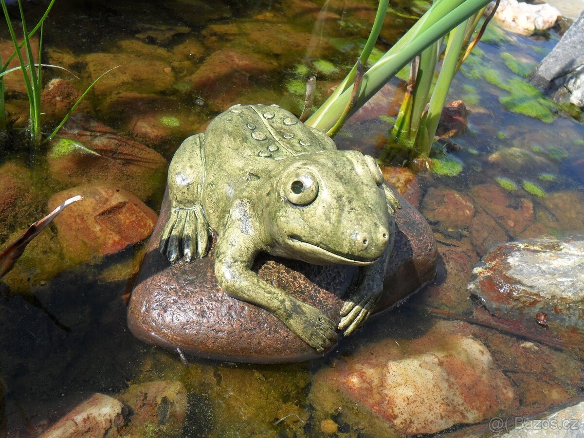 Zahradní dekorace - žába k jezírku, žabka, žába střední - 3