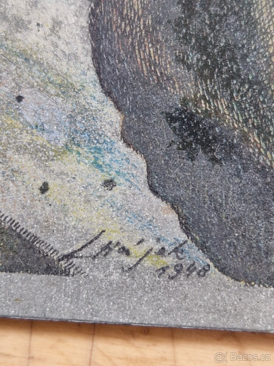 Lept s akvatintou, později ručně kolorovaný - 3