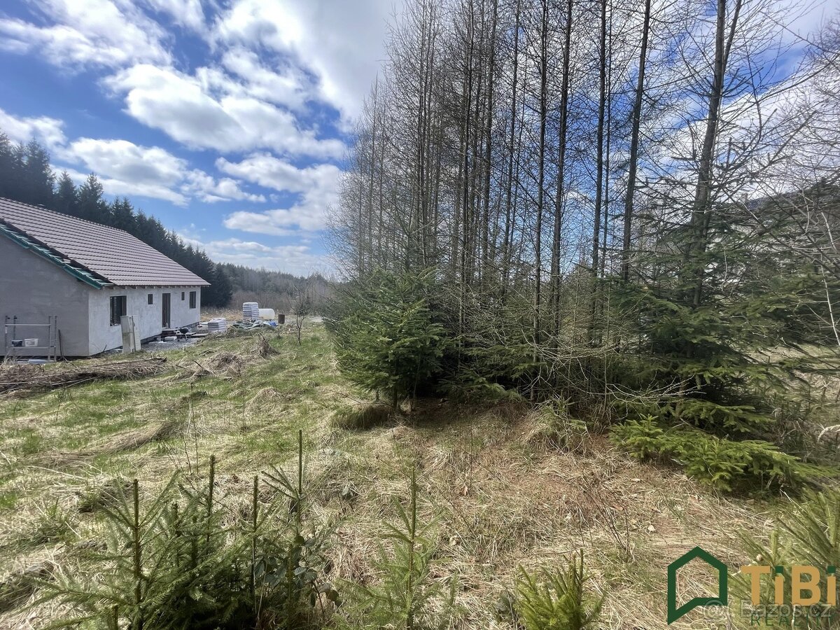 Prodej, Pozemky pro bydlení, 1.753 m² - Gruna - Žipotín - 3