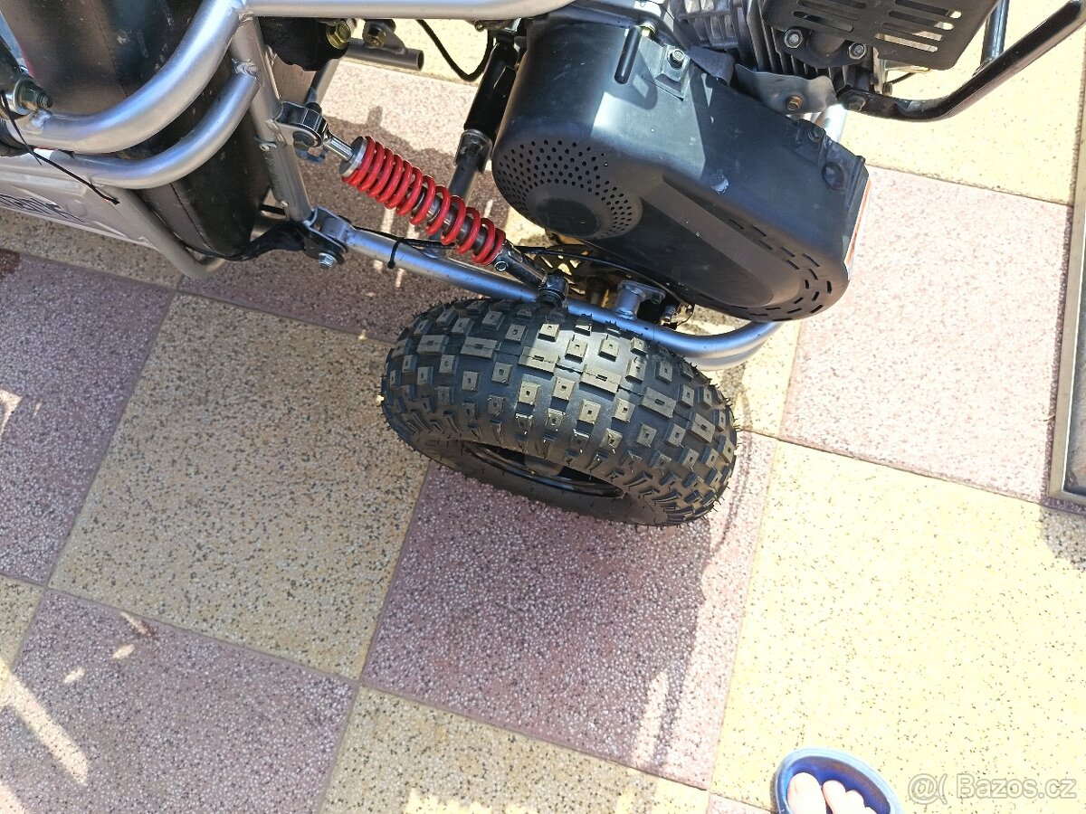 Buggy shark