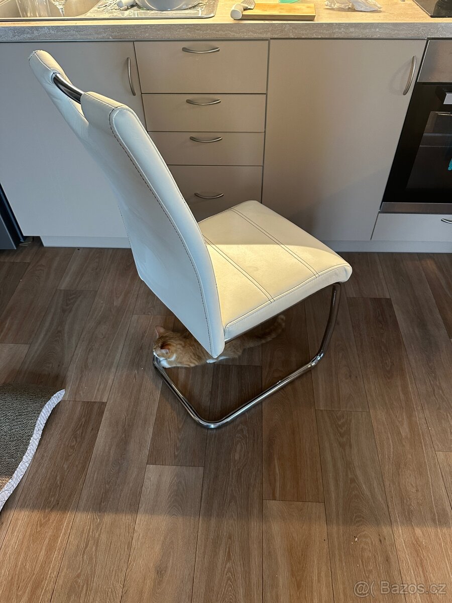 Jídelní židle - 3