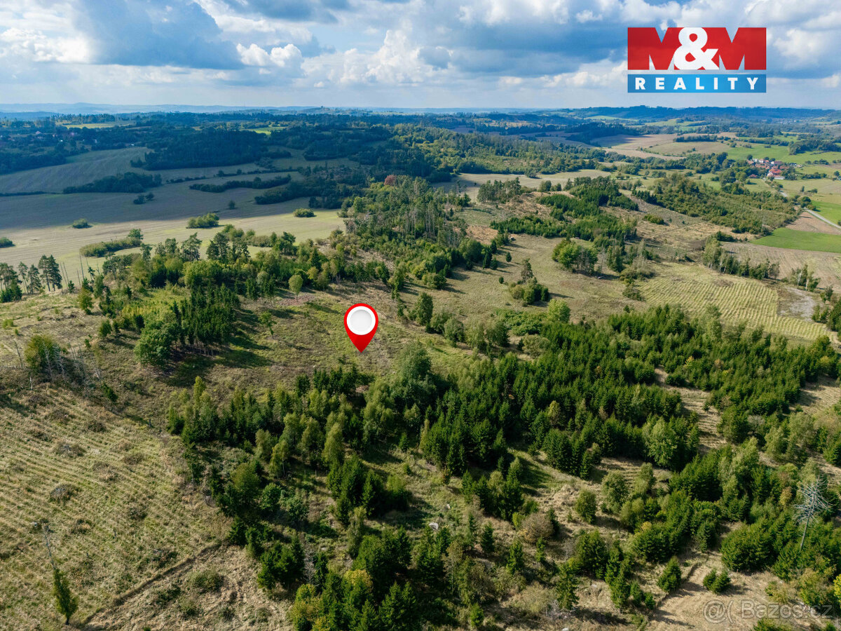 Prodej lesa v Horních Heřmanicích - 3