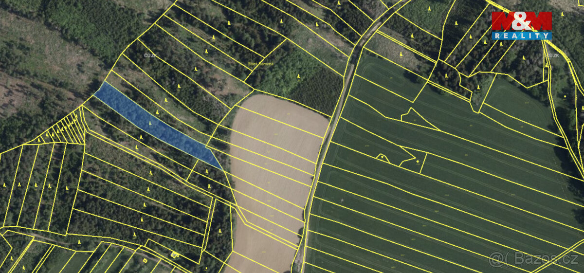 Prodej lesa, 7177 m², Mysletice - 3