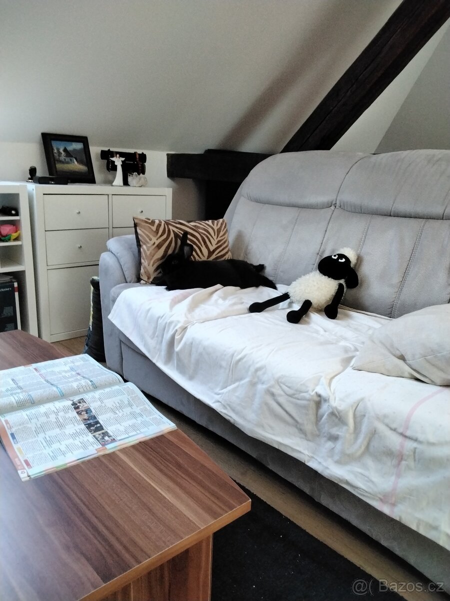 Daruji králíka do dobrých rukou - 3