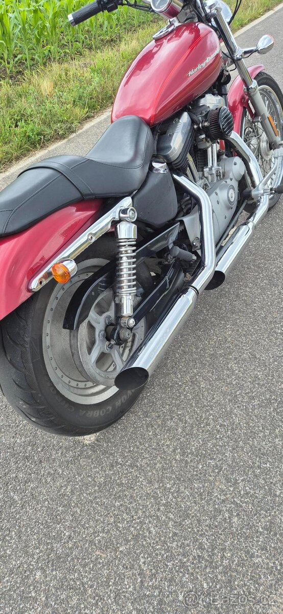 Harley Davidson 883 Sportster 2005 - 3