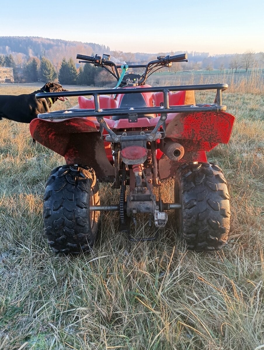 Čtyřkolka 110ccm - 3