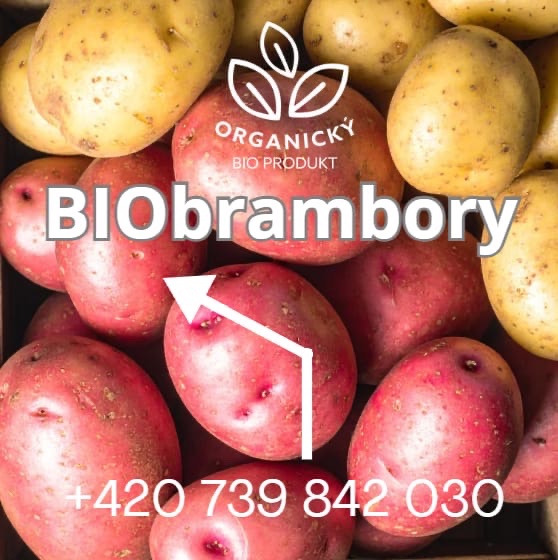 Brambory - 3