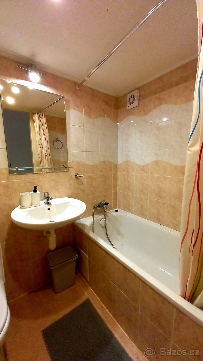 pronájem bytu 2+kk 45m2 - 3