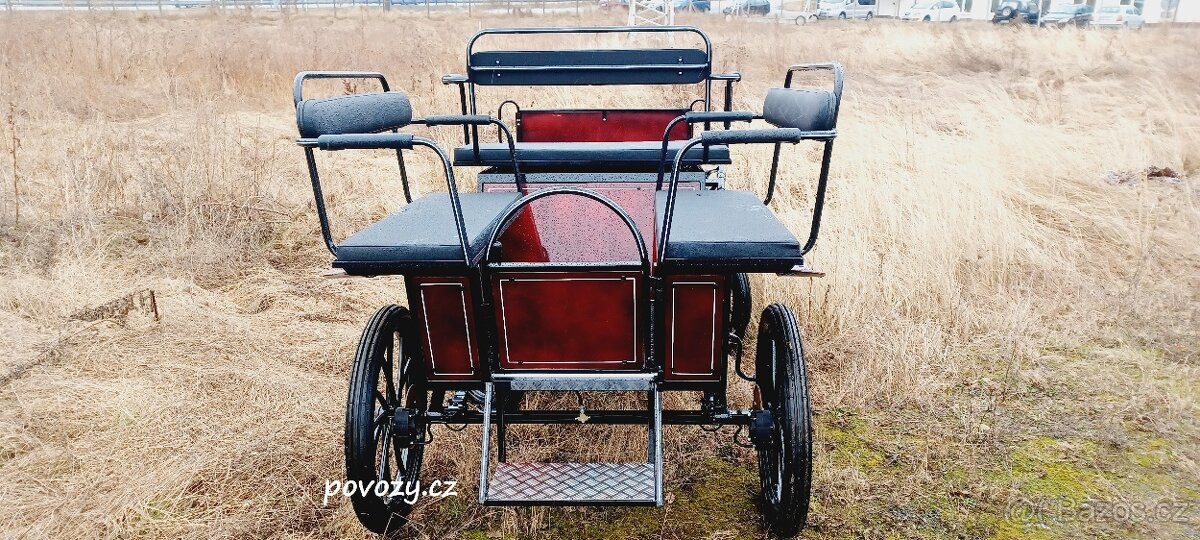 Bryčka, kočár, vagoneta, maraton, koňský povoz - 3