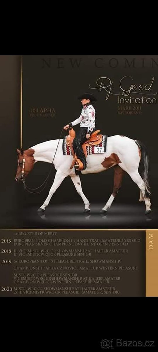 Letošní klisnička APH All around prospect - 3